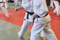 IMG-20230225-WA0014