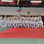 Stage de karaté avec Mike Julie (7ème dan), le 18 mars 2024 à Lagnieu