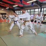 Stage de karaté avec Mike Julie (7ème dan), le 18 mars 2024 à Lagnieu