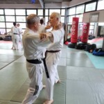 Stage de karaté avec Mike Julie (7ème dan), le 18 mars 2024 à Lagnieu