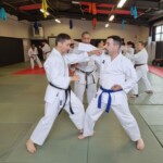 Stage de karaté avec Mike Julie (7ème dan), le 18 mars 2024 à Lagnieu