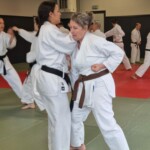 Stage de karaté avec Mike Julie (7ème dan), le 18 mars 2024 à Lagnieu