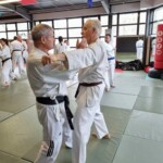 Stage de karaté avec Mike Julie (7ème dan), le 18 mars 2024 à Lagnieu