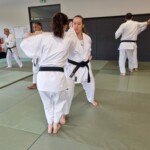 Stage de karaté avec Mike Julie (7ème dan), le 18 mars 2024 à Lagnieu