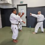 Stage de karaté avec Mike Julie (7ème dan), le 18 mars 2024 à Lagnieu