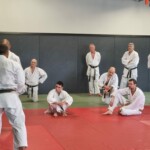 Stage de karaté avec Mike Julie (7ème dan), le 18 mars 2024 à Lagnieu