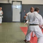 Stage de karaté avec Mike Julie (7ème dan), le 18 mars 2024 à Lagnieu