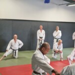Stage de karaté avec Mike Julie (7ème dan), le 18 mars 2024 à Lagnieu