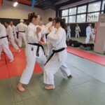 Stage de karaté avec Mike Julie (7ème dan), le 18 mars 2024 à Lagnieu
