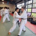 Stage de karaté avec Mike Julie (7ème dan), le 18 mars 2024 à Lagnieu