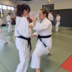 Stage de karaté avec Mike Julie (7ème dan), le 18 mars 2024 à Lagnieu