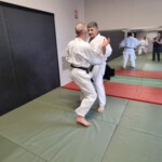 Stage de karaté avec Mike Julie (7ème dan), le 18 mars 2024 à Lagnieu