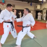 Stage de karaté avec Mike Julie (7ème dan), le 18 mars 2024 à Lagnieu