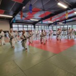 Stage de karaté avec Mike Julie (7ème dan), le 18 mars 2024 à Lagnieu