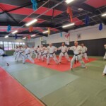 Stage de karaté avec Mike Julie (7ème dan), le 18 mars 2024 à Lagnieu