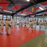 Stage de karaté avec Mike Julie (7ème dan), le 18 mars 2024 à Lagnieu