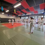 Stage de karaté avec Mike Julie (7ème dan), le 18 mars 2024 à Lagnieu