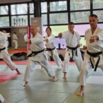 Stage de karaté avec Mike Julie (7ème dan), le 18 mars 2024 à Lagnieu