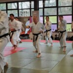 Stage de karaté avec Mike Julie (7ème dan), le 18 mars 2024 à Lagnieu