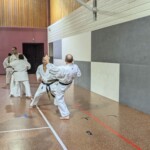 Stage de karaté avec J.-P. Lavorato (10ème dan), le 25 octobre 2024 à Lagnieu