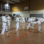 Stage de karaté avec J.-P. Lavorato (10ème dan), le 25 octobre 2024 à Lagnieu