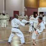 Stage de karaté avec J.-P. Lavorato (10ème dan), le 25 octobre 2024 à Lagnieu