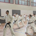 Stage de karaté avec J.-P. Lavorato (10ème dan), le 25 octobre 2024 à Lagnieu