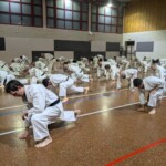 Stage de karaté avec J.-P. Lavorato (10ème dan), le 25 octobre 2024 à Lagnieu