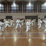 Stage de karaté avec J.-P. Lavorato (10ème dan), le 25 octobre 2024 à Lagnieu