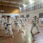 Stage de karaté avec J.-P. Lavorato (10ème dan), le 25 octobre 2024 à Lagnieu