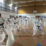 Stage de karaté avec J.-P. Lavorato (10ème dan), le 25 octobre 2024 à Lagnieu