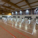 Stage de karaté avec J.-P. Lavorato (10ème dan), le 25 octobre 2024 à Lagnieu