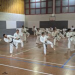 Stage de karaté avec J.-P. Lavorato (10ème dan), le 25 octobre 2024 à Lagnieu