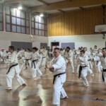 Stage de karaté avec J.-P. Lavorato (10ème dan), le 25 octobre 2024 à Lagnieu