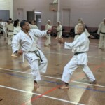 Stage de karaté avec J.-P. Lavorato (10ème dan), le 25 octobre 2024 à Lagnieu