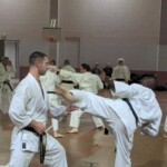 Stage de karaté avec J.-P. Lavorato (10ème dan), le 25 octobre 2024 à Lagnieu