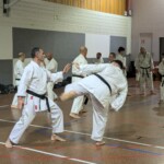 Stage de karaté avec J.-P. Lavorato (10ème dan), le 25 octobre 2024 à Lagnieu