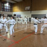 Stage de karaté avec J.-P. Lavorato (10ème dan), le 25 octobre 2024 à Lagnieu