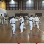 Stage de karaté avec J.-P. Lavorato (10ème dan), le 25 octobre 2024 à Lagnieu