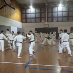 Stage de karaté avec J.-P. Lavorato (10ème dan), le 25 octobre 2024 à Lagnieu