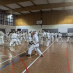 Stage de karaté avec J.-P. Lavorato (10ème dan), le 25 octobre 2024 à Lagnieu