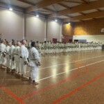 Stage de karaté avec J.-P. Lavorato (10ème dan), le 25 octobre 2024 à Lagnieu