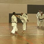 Stage de karaté avec J.-P. Lavorato (10ème dan), le 25 octobre 2024 à Lagnieu