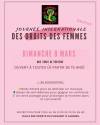 Karaté pour la journée internationale des droits des femmes (8 mars 2026)